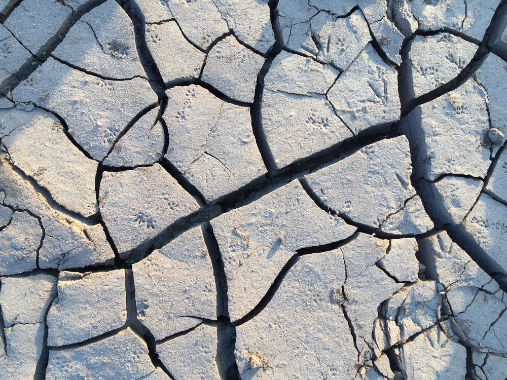 枯れた大地の画像です